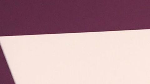 Spike Lee no mencionó a Donald Trump, pero pidió decidir entre "amor y odio" en 2020.