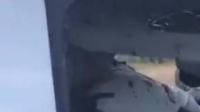 El video fue compartido desde la cuenta de Antonio Nieto.