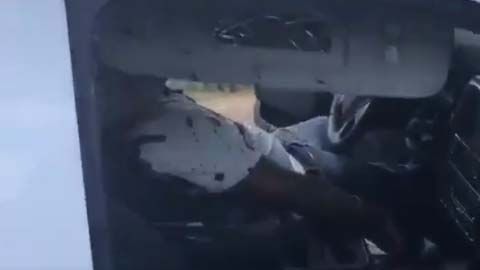 El video fue compartido desde la cuenta de Antonio Nieto.