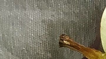 Toma nota de estos alimentos quema-grasa.