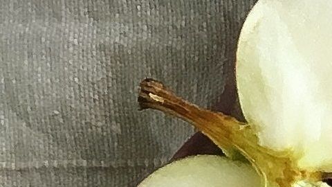 Toma nota de estos alimentos quema-grasa.