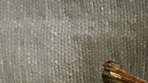 Toma nota de estos alimentos quema-grasa.