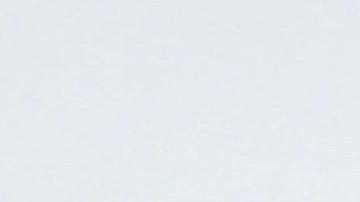 Según el abogados de los trabajadores el club conocía hace años sus estatus migratorio