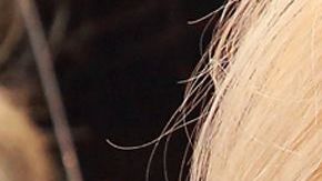 Yuri insistió en sus comentarios sobre Yaltiza.