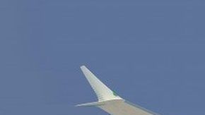 El Boeing 737 MAX 8 ha estado en el mercado apenas desde 2017.