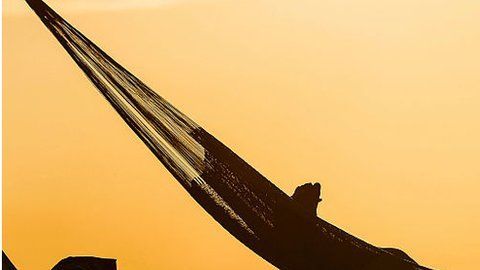 Hay una tendencia creciente a ofrecer vacaciones ilimitadas