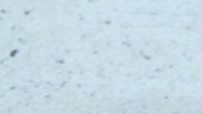 Científicos superpusieron las imágenes para confirmar la muerte de Mengele.