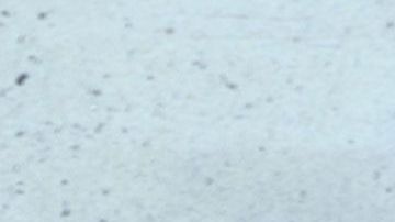 Científicos superpusieron las imágenes para confirmar la muerte de Mengele.