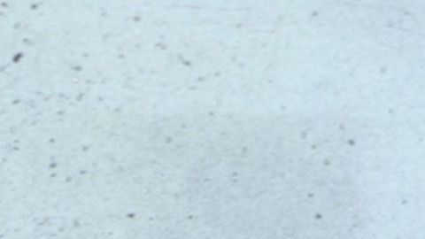 Científicos superpusieron las imágenes para confirmar la muerte de Mengele.