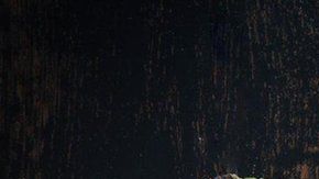 Si crees que un alimento va a aumentar tu deseo sexual, es probable que lo haga.