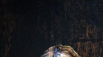 Si crees que un alimento va a aumentar tu deseo sexual, es probable que lo haga.