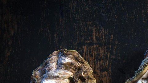 Si crees que un alimento va a aumentar tu deseo sexual, es probable que lo haga.