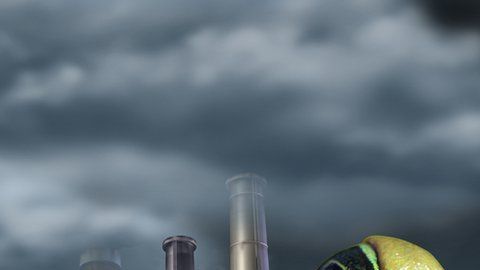 ¿Nos dejaremos llevar por el efecto de la rana hervida?