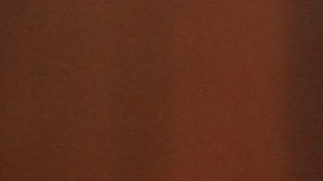 "Estuve en silencio por muchos años", dijo la senadora Martha McSally.