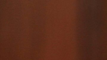 "Estuve en silencio por muchos años", dijo la senadora Martha McSally.