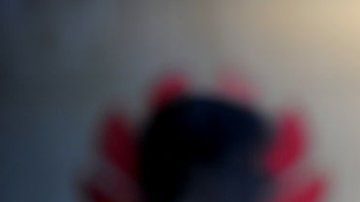 105927205_3998162f-d85e-4256-801f-c7261f784b97