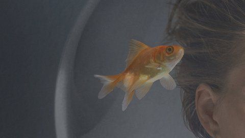 ¿Qué es la realidad?