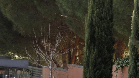 La policía fue alertada después de que una mujer logró escapar.