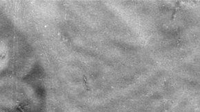 Mussolini fundó los "Fasci italiani di combattimento" en 1919.