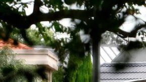 Antes del ataque en Nueva Zelanda, se publicaron fotos de los cargadores.