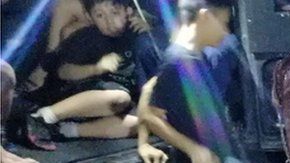 El animal tenía múltiples bolsas de plástico para las compras.