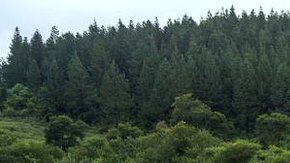 Hay comunidades aisladas también en Zimbabue.