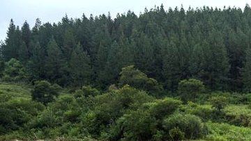 Hay comunidades aisladas también en Zimbabue.