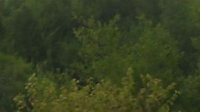 El glifosato es utilizado en muchos países.