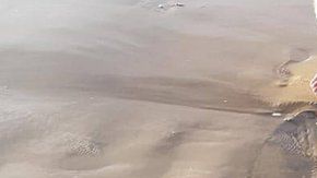 El pez luna gigante apareció en una playa de Australia