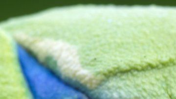 Al menos 90 especies de anfibios se han extinguido ya.