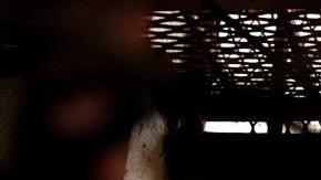 Menores encerrados en Florida