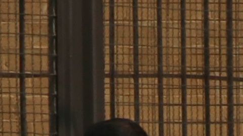 El periodista Mario Leonel Gómez Sánchez fue asesinado a balazos en Chiapas.