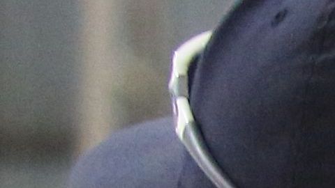 ICE dice que no hubo ningún tipo de abusos en la operación