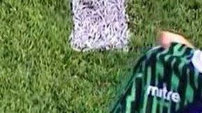 El jugador argentino Alejandro Melo y su petición de matrimonio.