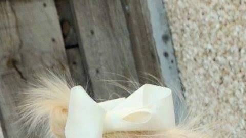 41741903_2202991166592328_2741161189026299904_o