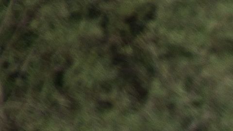 Reporte del Wall Street Journal dio a conocer la noticia