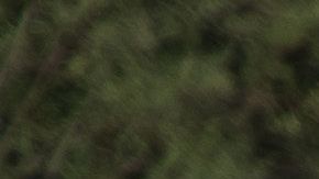 Familias y niños solos detenidos por la Patrulla Fronteriza en McAllen.