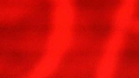 El senador John McCain.