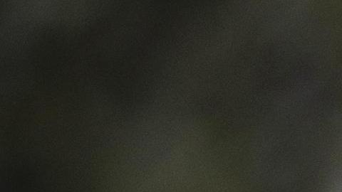 Demócratas en el Congreso piden que el FBI investigue