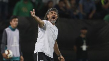 Leonel Álvarez fue cesado del Libertad de Paraguay, en plena Copa Libertadores