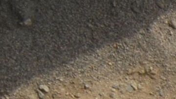 Los restos de los niños fueron hallados en Perú.