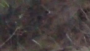 El accidente se produjo en Chiapas