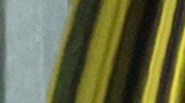 Un hombre tiroteó a los asistentes en una mezquita en Nueva Zelanda.