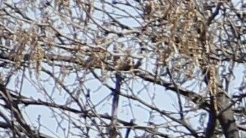 Las autoridades recibieron una llamada anónima sobre la ubicación de posibles restos humanos dentro de un canal.