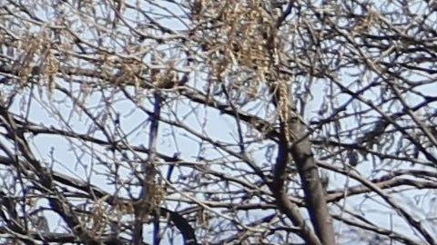 Las autoridades recibieron una llamada anónima sobre la ubicación de posibles restos humanos dentro de un canal.