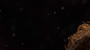 El Bayern Munich tuvo un día de campo ante el Mainz y James Rodriguez y fue protagonista.