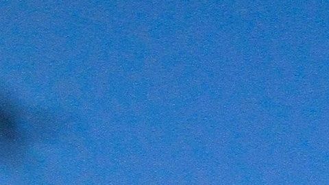 Días antes, decenas de inmgrantes lograron cruzar la valla con Estados Unidos.