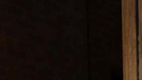 Adamari López y Toni Costa