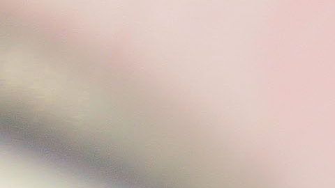 Los lazos de dueños y autos son más fuertes de lo que pensábamos