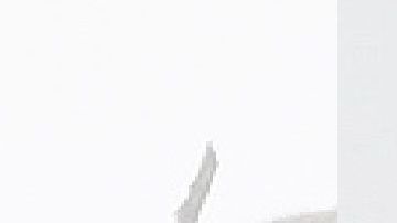 El momento fue captado por el fotógrafo Roger Stevens Jr.